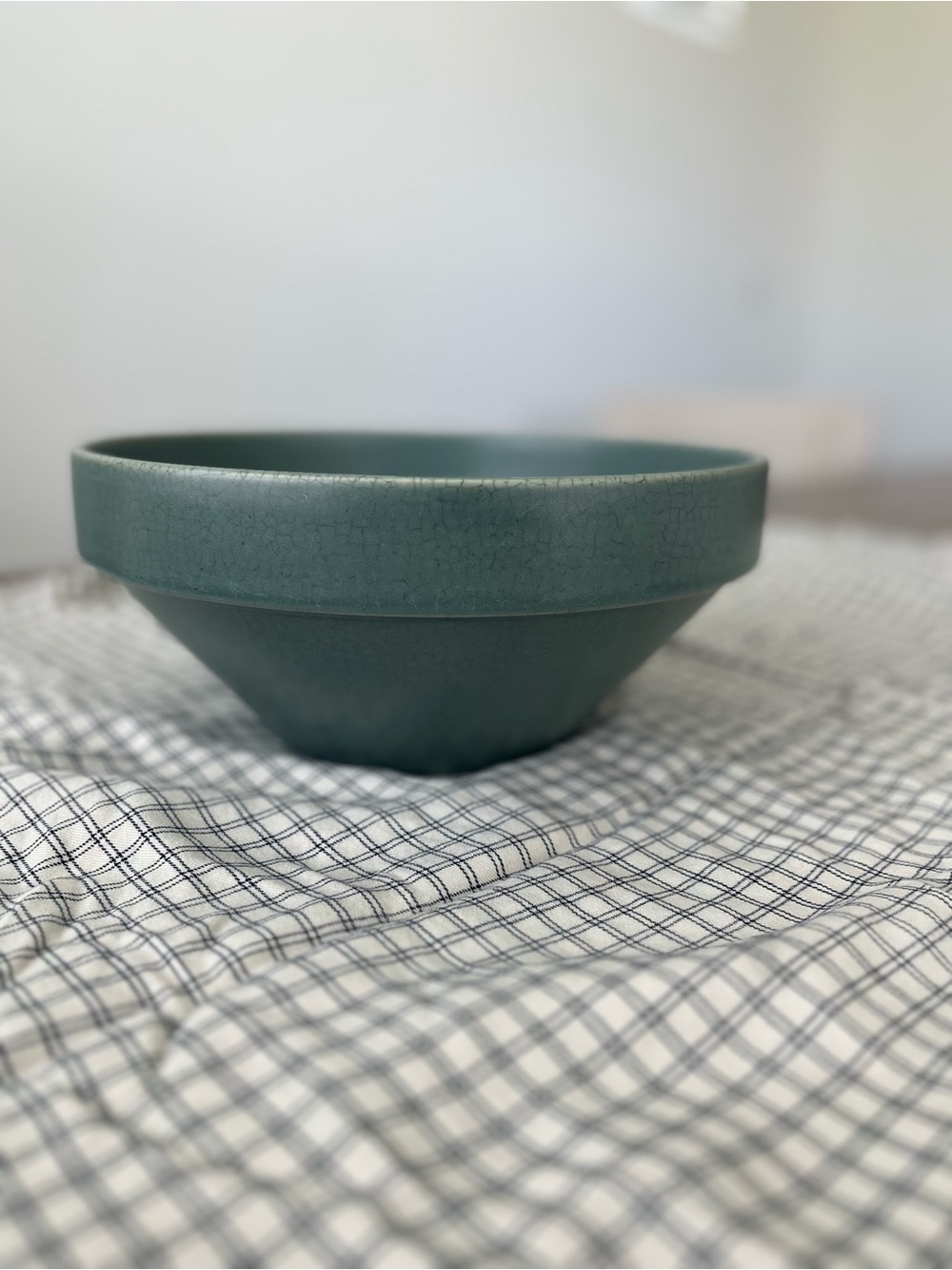 Studio McGee Green Wide Brim Bowl